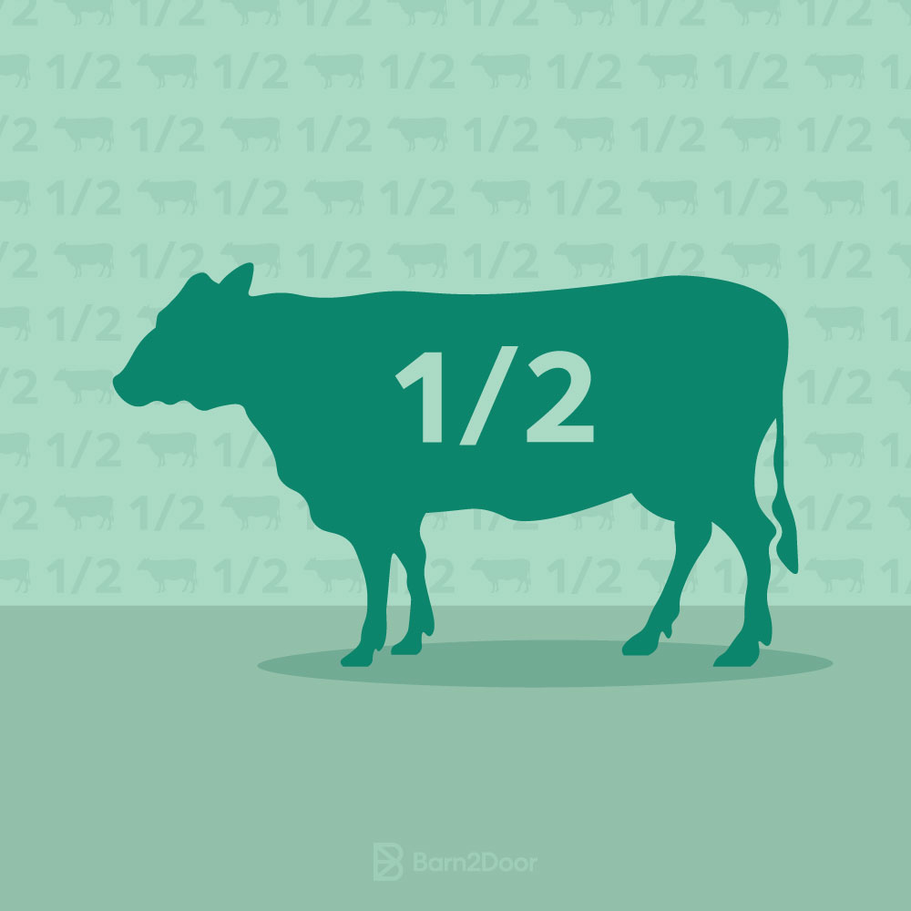 Beef_Bulk_Half_Pattern_O Image placeholder indicating a need for a photo, often used in design or content creation to signify missing visual content.