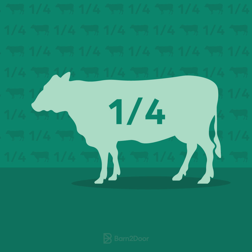 Beef_Bulk_Quarter_Pattern_O Image placeholder indicating a need for a photo, often used in design or content creation to signify missing visual content.